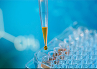 Æß×ÓÈýµØÍ¬ÈÕÍøÉÏ·ÑÝÕâЩ¿Æ´´¹«Ë¾¸÷Áì·çÁ÷