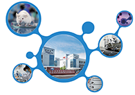 ¿Æ´´°åÊ×¼ÒCROÆóÒµÃÀ¸ß÷»ñ×¼×¢²á