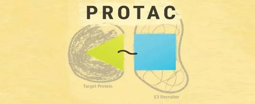 PROTACҩ����ɵļ���ʾ��ͼ