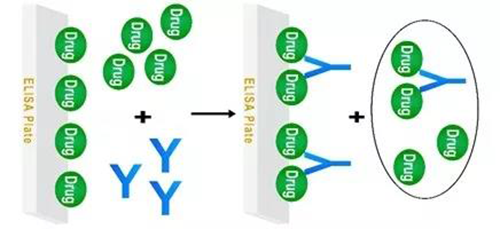 ͼ2 ÓÎÀëÒ©ÎïÓë¹ÌÏàÒ©ÎᄎÕùµÄAssayģʽ