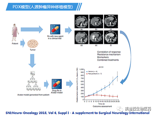 ����÷PDXģ��