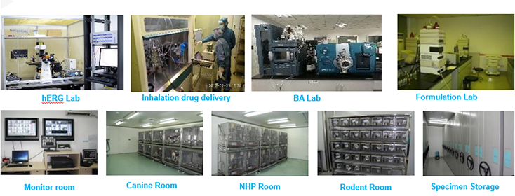 ����÷�����о���װ��