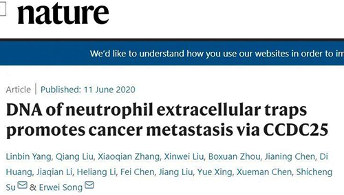 06��11��Nature��־��ɽ��ѧ�����ɼ���ҽԺ�Ŀ�ѧ���Ŷӽ���������