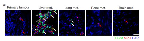 ת��С��ģ�ӻ����ͬ������Ч������������ת�Ʊ���ǰNET���ڸ���ۻ�������������