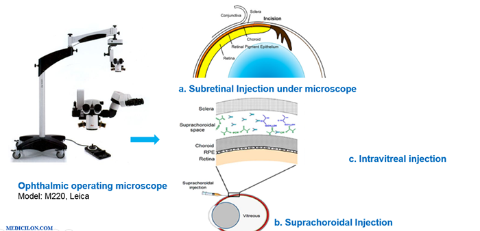 ������۲����ڸ�ҩ����