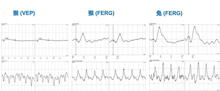 �۵�������Ŀ����ʵ��Ч��չʾ