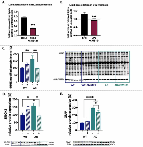CMS121��̭֬�ʹ����������п�������