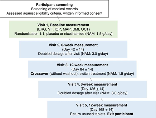 ����������ͼ