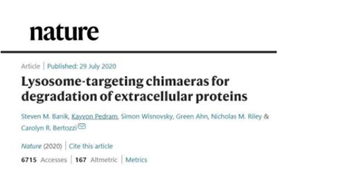 һ�ֲ����Ѱ׽��⼼��������ø�����Ƕ���壨lysosome-targeting chimaeras, LYTACs��