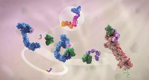 LYTAC��������������PROTAC������ս��Բ��ɳ�ҩ�İе�