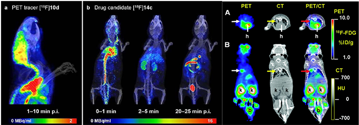 ¹¦Ð§Óë½á¹¹Á¬Ïµ