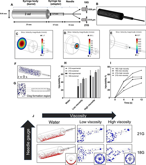 Ƥ��ע����ͷ�����γɵ���ֵģ��