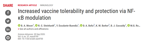 �о�ְԱ������ѡ���Ժ����Ӧ�B��NF-kB�����Ƽ��뼸�����ڵ���������ʹ��