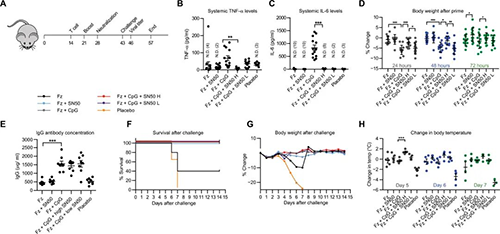 �о�ְԱ������ѡ���Ժ����Ӧ�B��NF-kB�����Ƽ��뼸�����ڵ���������ʹ��