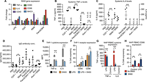 ���������������������