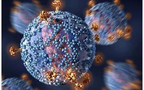 ���������ȱ���ۺ�����AIDS��������������ȱ�ݲ�����HIV)�������ѬȾ��