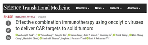 ����÷��MGM(�й���)��������