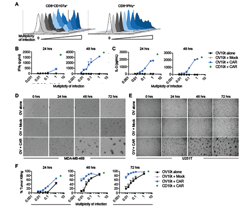 ����÷��MGM(�й���)��������