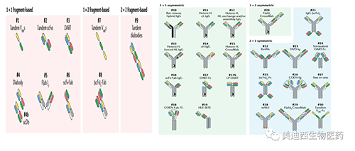 ˫��ҩ������Ҫ�콨����Ҫ˼��������