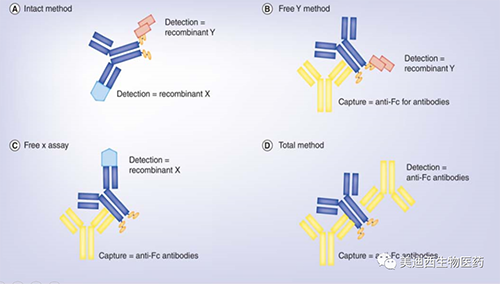 ˫��ҩ��������ҪCase by Case��˼��