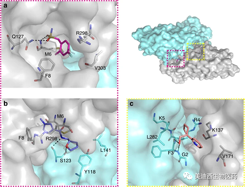 ����������Ƭ�����ֱ乹������ʱ��