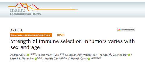 ��ʵΪʲôICB�Ʒ�������Ů����������������Ч��΢����������