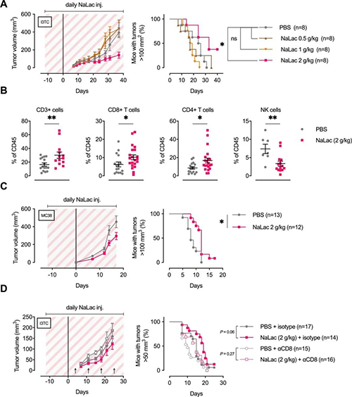 ����ʩ��L-�����ƿ��ӳ���������������