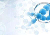 ���ƻ��ס������о�֮ϸ�ھ���TCR����ĳɰ�