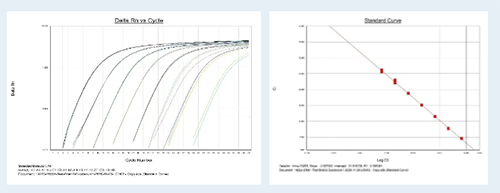 ʵʱPCR���mRNA����ˮƽ