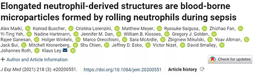 һ�����ؿ����������� �����ܷ��Ϊ��Ѫ֢��ɸ��������