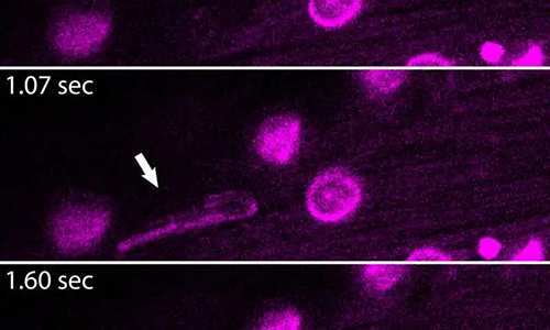 ENDS������Լ�����ʱ������ķ���