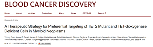 �о�����ò��һ�����Ͱ��򿹰�ҩ���������������ҩ����ܻ����õ�����ĳЩ�����İ�Ѫ��������������