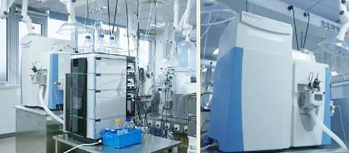 ����÷DMPK����Ч��