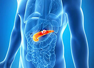 Science�������������ٰ����ڷ��������������