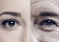 һ���ܹ����������Ľ�ѹҩ������������˵��������������