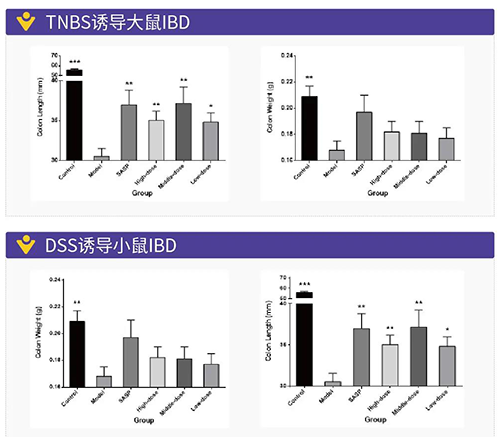 TNBS�յ��Ĵ���IBD��DSS�յ��Ĵ���IBD