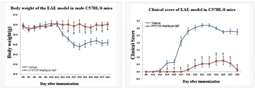 �������Լ�����ģ��