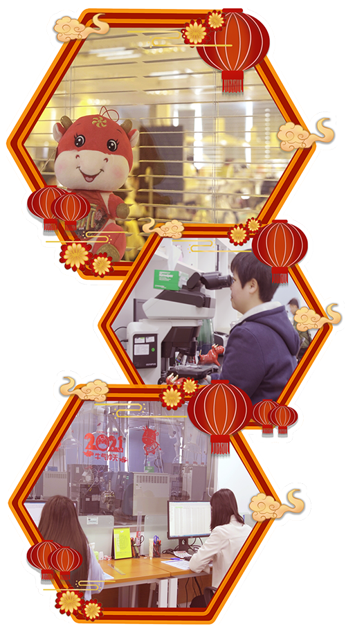 �������⡰�����ܡ��� ֻ����Ϧ����������