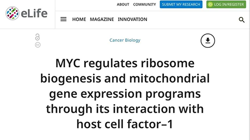 ���ԡ��ڻ����������Ѱ�����������������һ��û����˵����