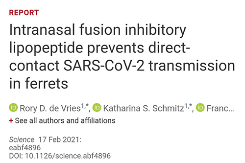 Science�ٵ�|������������ֹ�¹ڷ�������������������ѩ��ʵ�����ѳ���Ч��