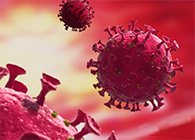 4�������ֶ��룬��������÷��������ҽҩ�¹ڲ�������V-01���ٴ�����