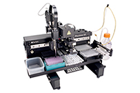 ϸ�������