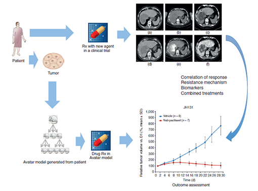 SNI:Neuro-Oncology 2015, Vol 6, Suppl I - A supplement to Surgical Neurology International SNI:Neuro-Oncology 2015, Vol 6, Suppl I - A supplement to Surgical Neurology International