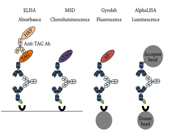 ����÷����ԭ���о��Ĵ�ƽ̨