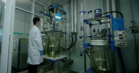 ����ҩ��������