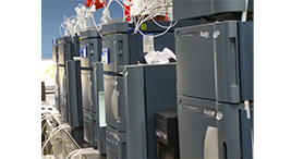 ������Һ��