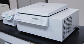 �������Ļ�