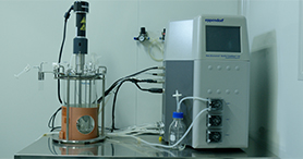 ���ﷴӦ��