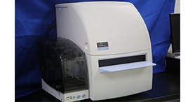 ���Ǽ����