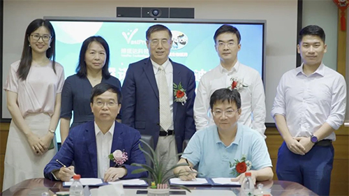 ²©è±ÅµÓëÃÀ¸ß÷ǩÊðÁÙ´²Ç°INDÉ걨ЧÀÍÕ½ÂÔÏàÖúÐÒé